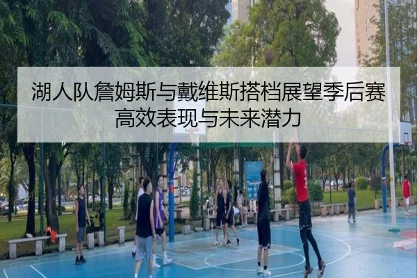 湖人队詹姆斯与戴维斯搭档展望季后赛高效表现与未来潜力